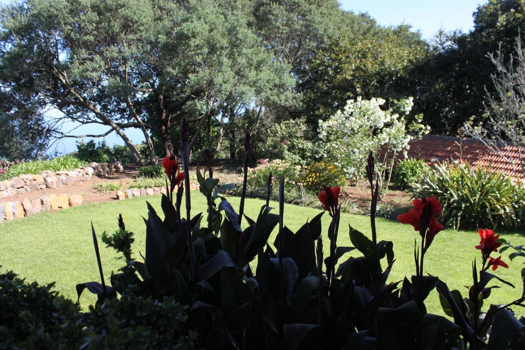 Quinta Das Faias Camacha  Kamer foto