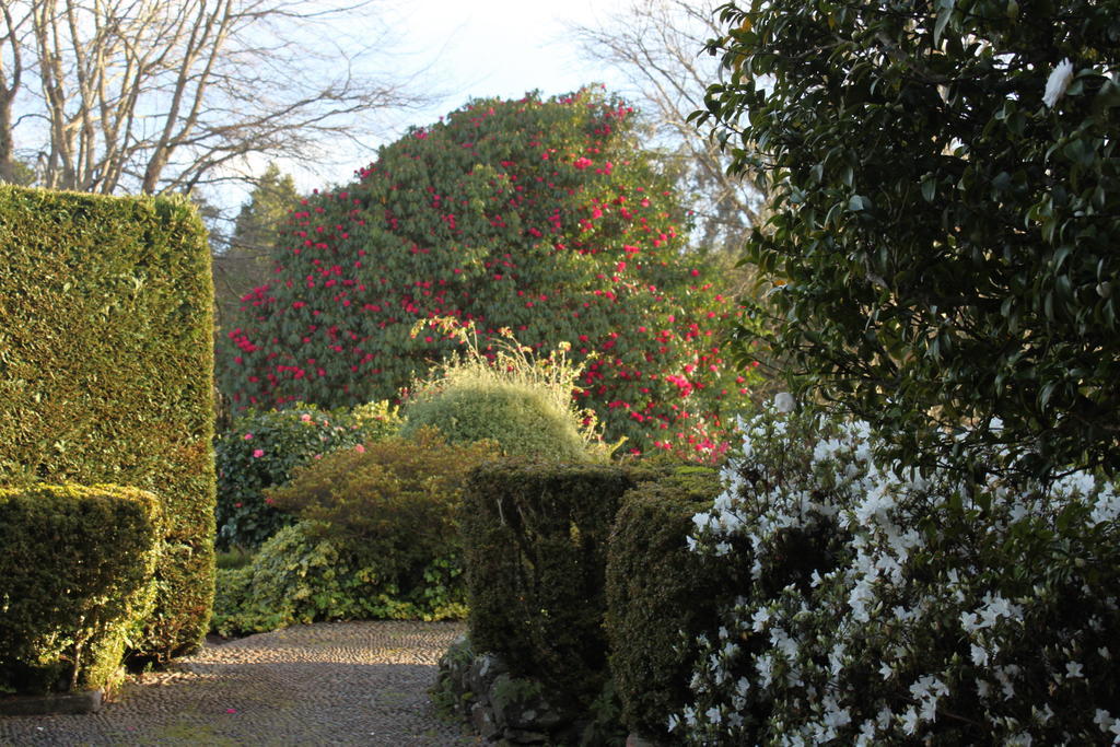 Quinta Das Faias Camacha  Buitenkant foto