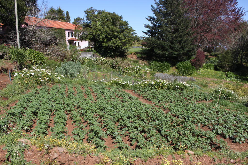 Quinta Das Faias Camacha  Buitenkant foto