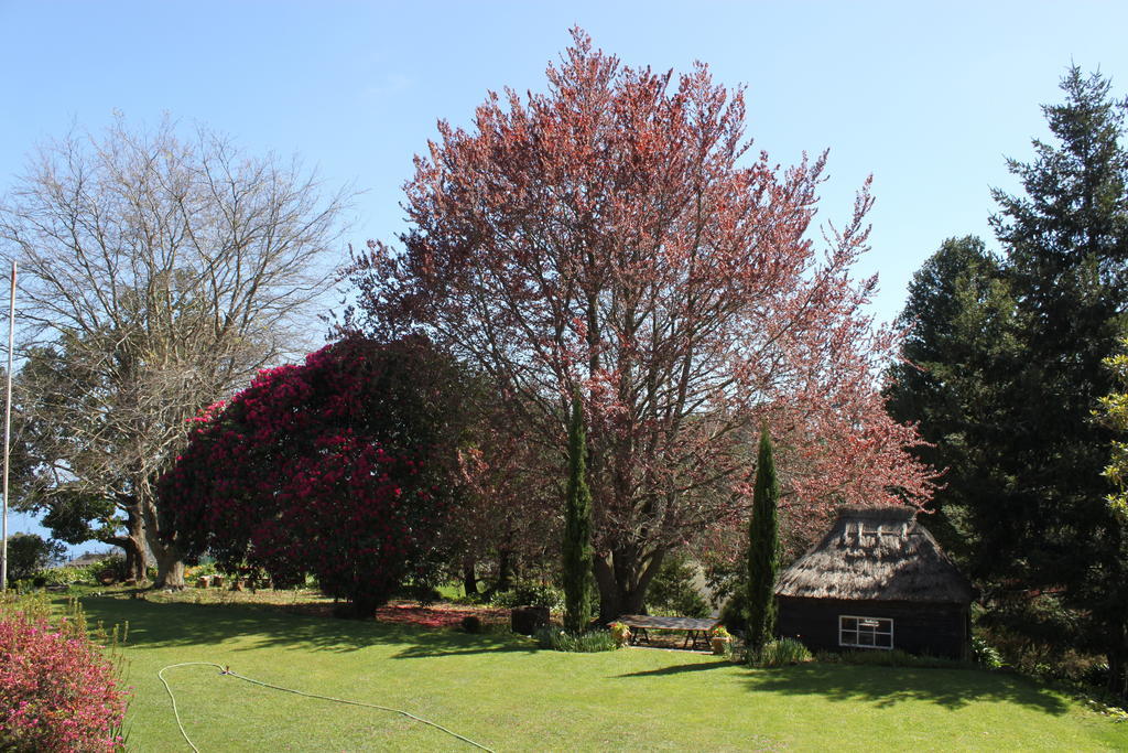 Quinta Das Faias Camacha  Buitenkant foto