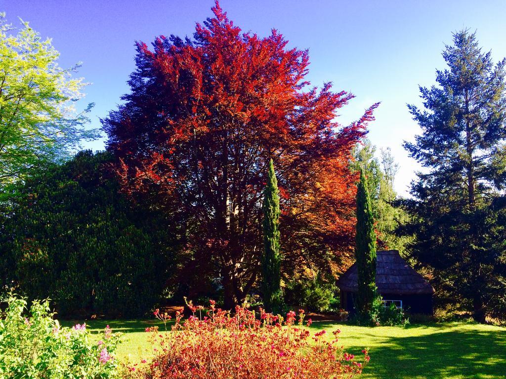 Quinta Das Faias Camacha  Buitenkant foto