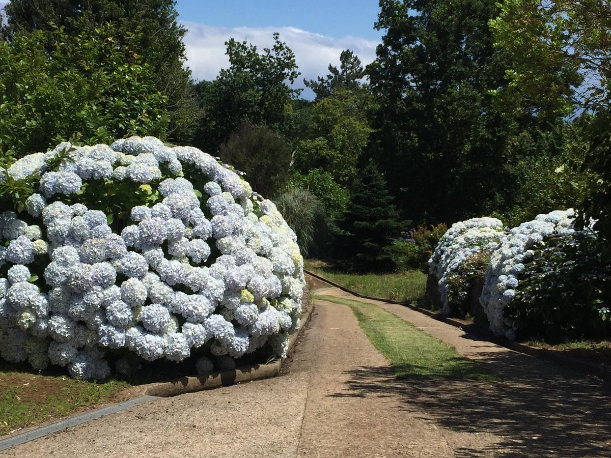 Quinta Das Faias Camacha  Buitenkant foto