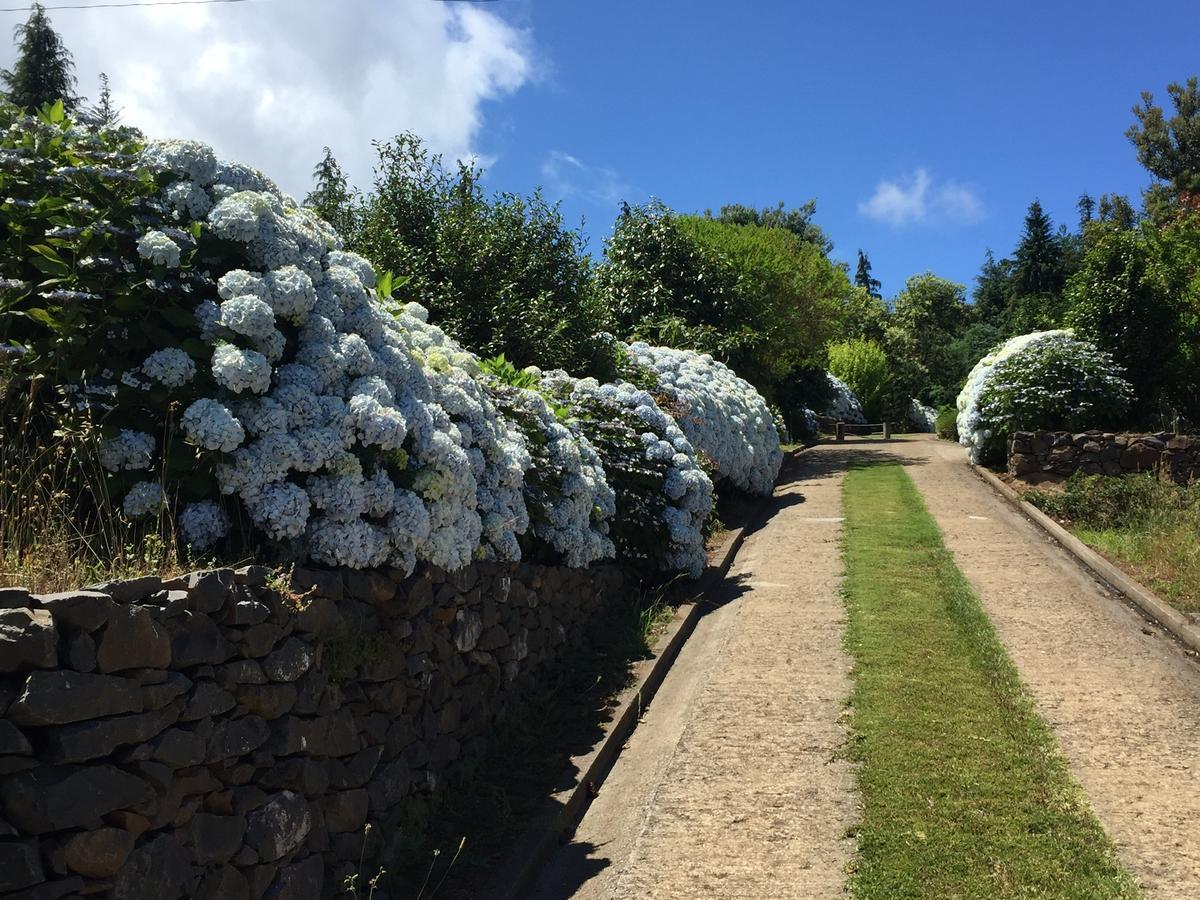 Quinta Das Faias Camacha  Buitenkant foto