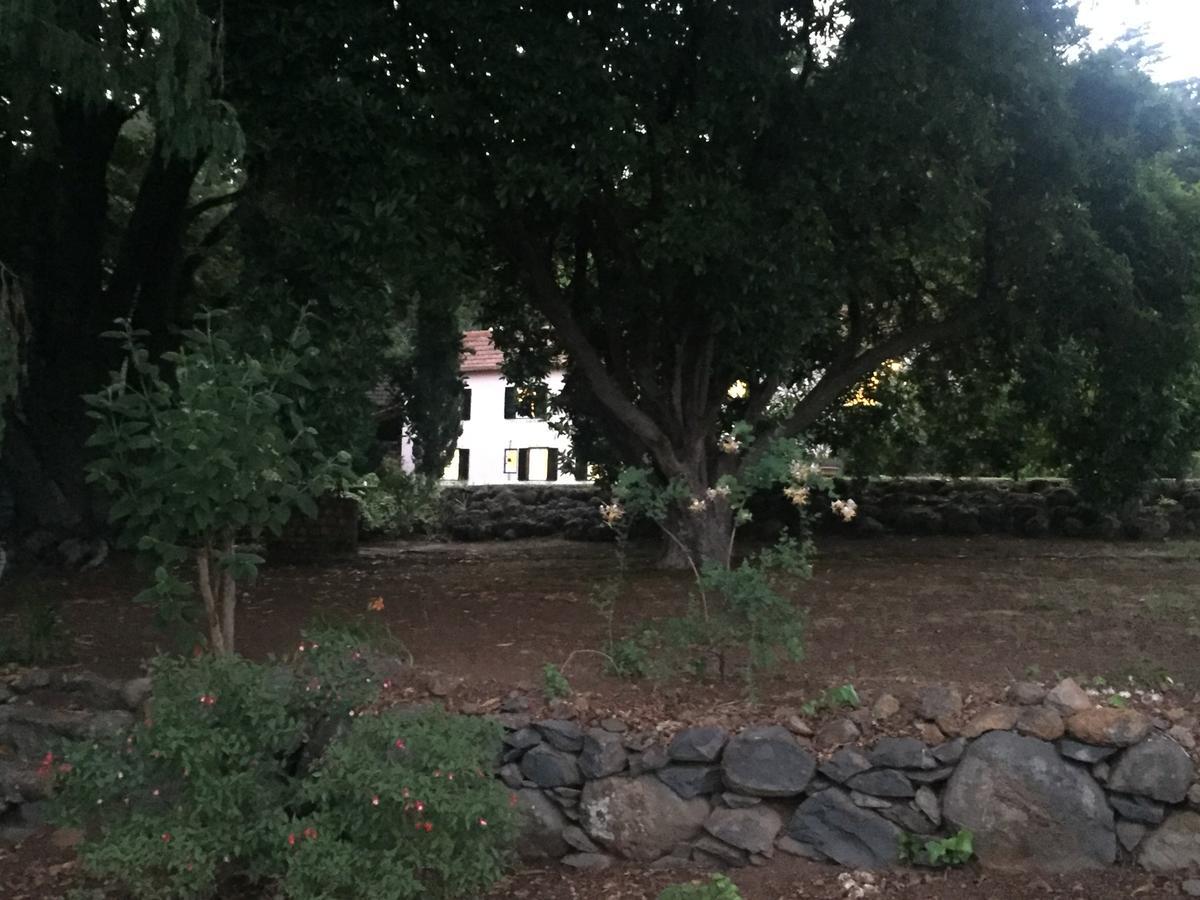 Quinta Das Faias Camacha  Buitenkant foto